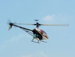   Raptor 50S ARF   (4853-A23)