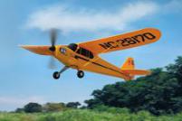 ������ Piper J3 Cub M24 RTF �� ����� 10224 Piper J3 Cub M24 RTF.